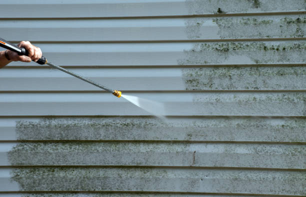 Best Pressure Washing Siding  in Rensselaer, NY