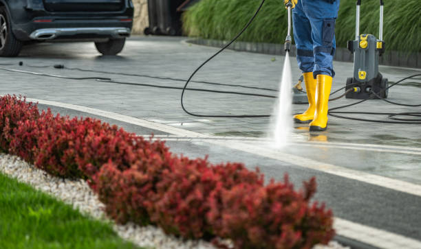 Best Roof Pressure Washing  in Rensselaer, NY
